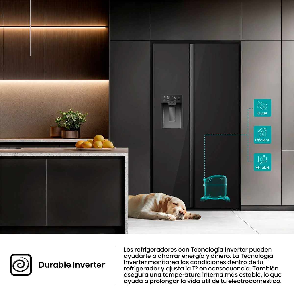 REFRIGERADORA HISENSE SIDE BY SIDE NO FROST RS528P5GBA 506L - 11