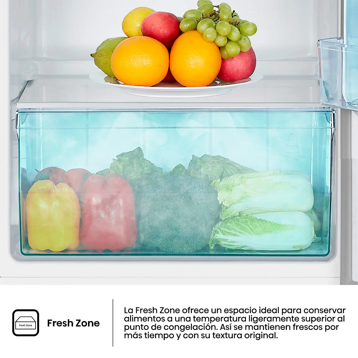 REFRIGERADORA HISENSE TOP FREEZER FRÍO DIRECTO RT205N1ABA 205L - 11