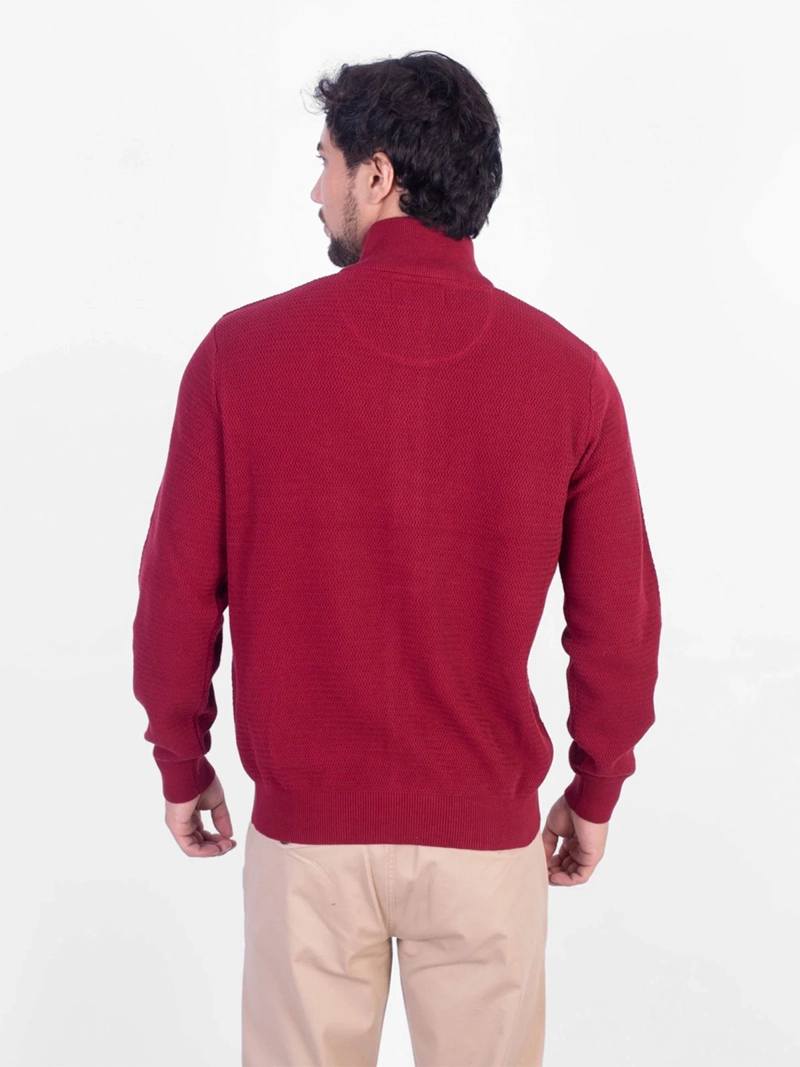 CHOMPA MANGA LARGA ALGODÓN HOMBRE PIERRE CARDIN - 2