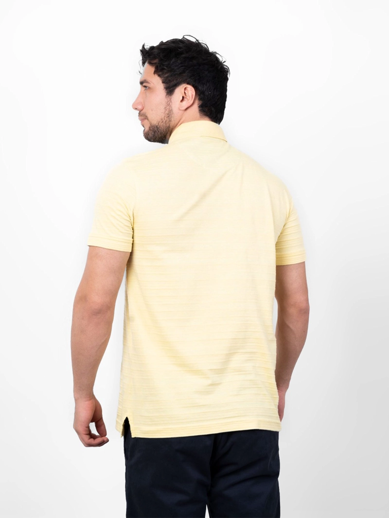 POLO MANGA CORTA ALGODÓN HOMBRE PIERRE CARDIN - 2