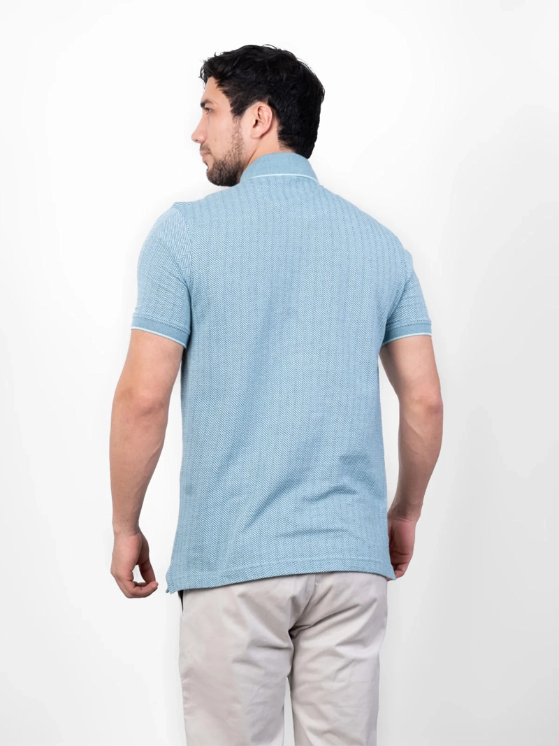 POLO MANGA CORTA ALGODÓN HOMBRE PIERRE CARDIN - 2