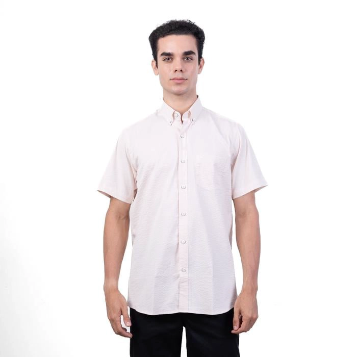 CAMISA MANGA CORTA ALGODÓN HOMBRE PIERRE CARDIN - 2