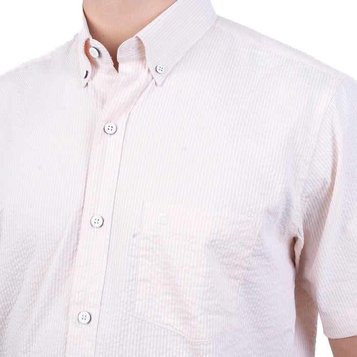 CAMISA MANGA CORTA ALGODÓN HOMBRE PIERRE CARDIN - 4