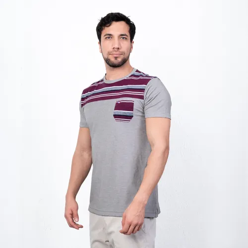 POLO MANGA CORTA ALGODÓN HOMBRE PIERRE CARDIN CUELLO REDONDO - 2