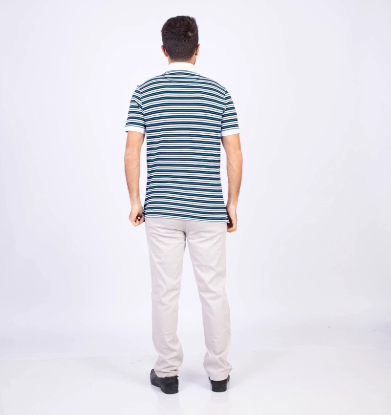 POLO MANGA CORTA HOMBRE PIERRE CARDIN BOX PIQUE LISTADO PC-6208POO - 8