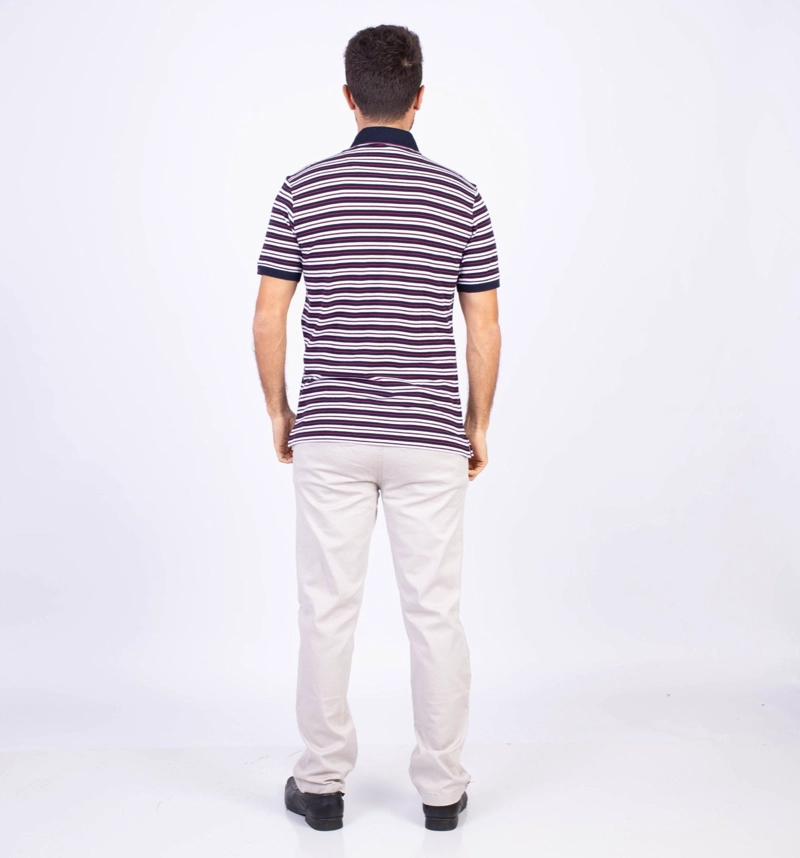 POLO MANGA CORTA HOMBRE PIERRE CARDIN BOX PIQUE LISTADO PC-6208POO - 8