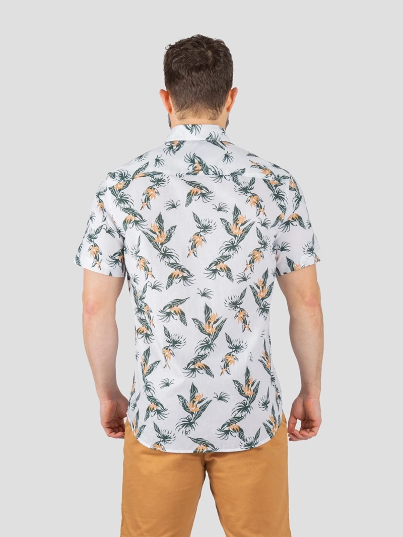 CAMISA ALGODÓN MANGA CORTA HOMBRE JOHN HOLDEN SPORT 9CS224 - 2