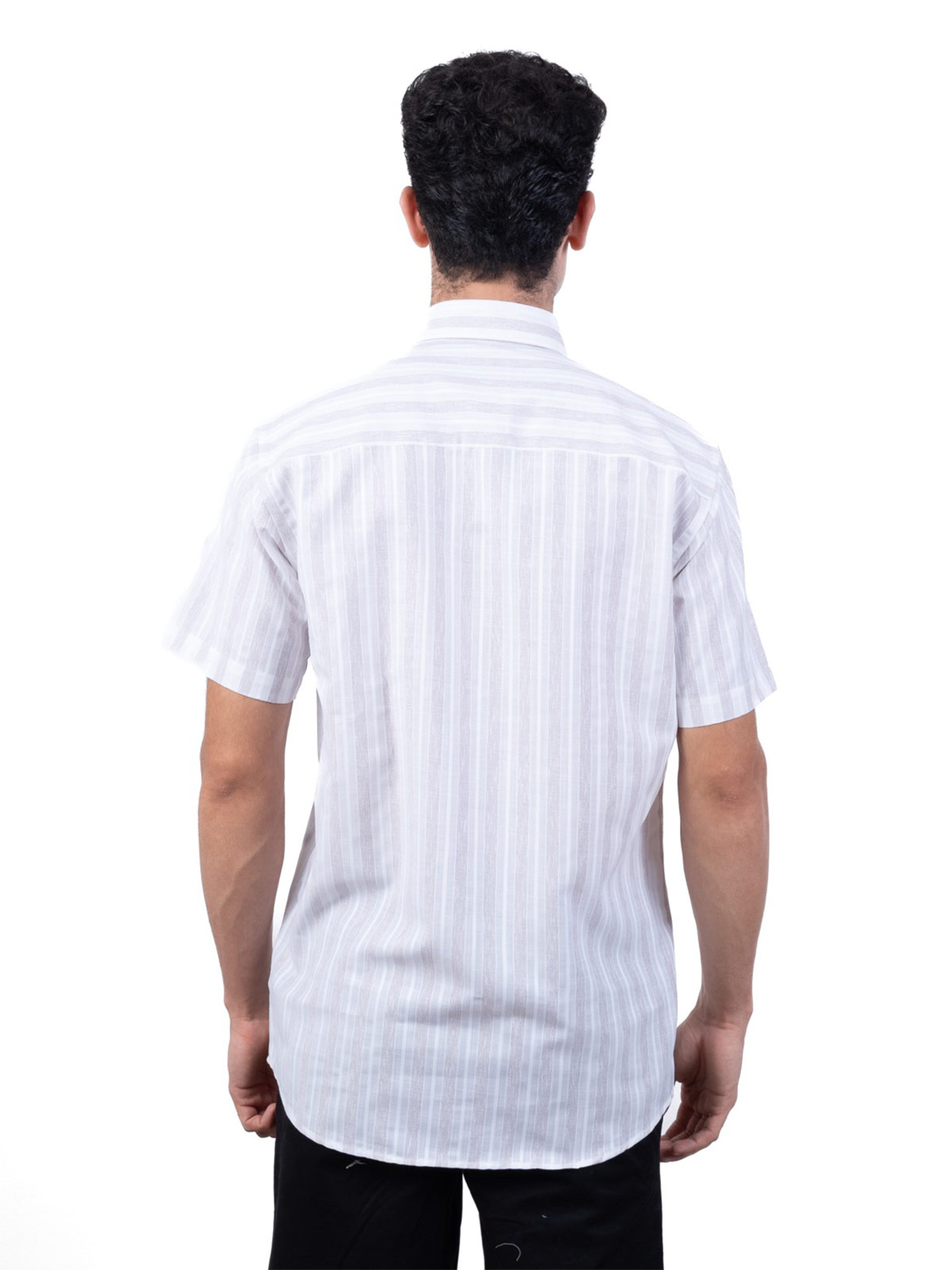 CAMISA MANGA CORTA LINO HOMBRE PIERRE CARDIN - 2