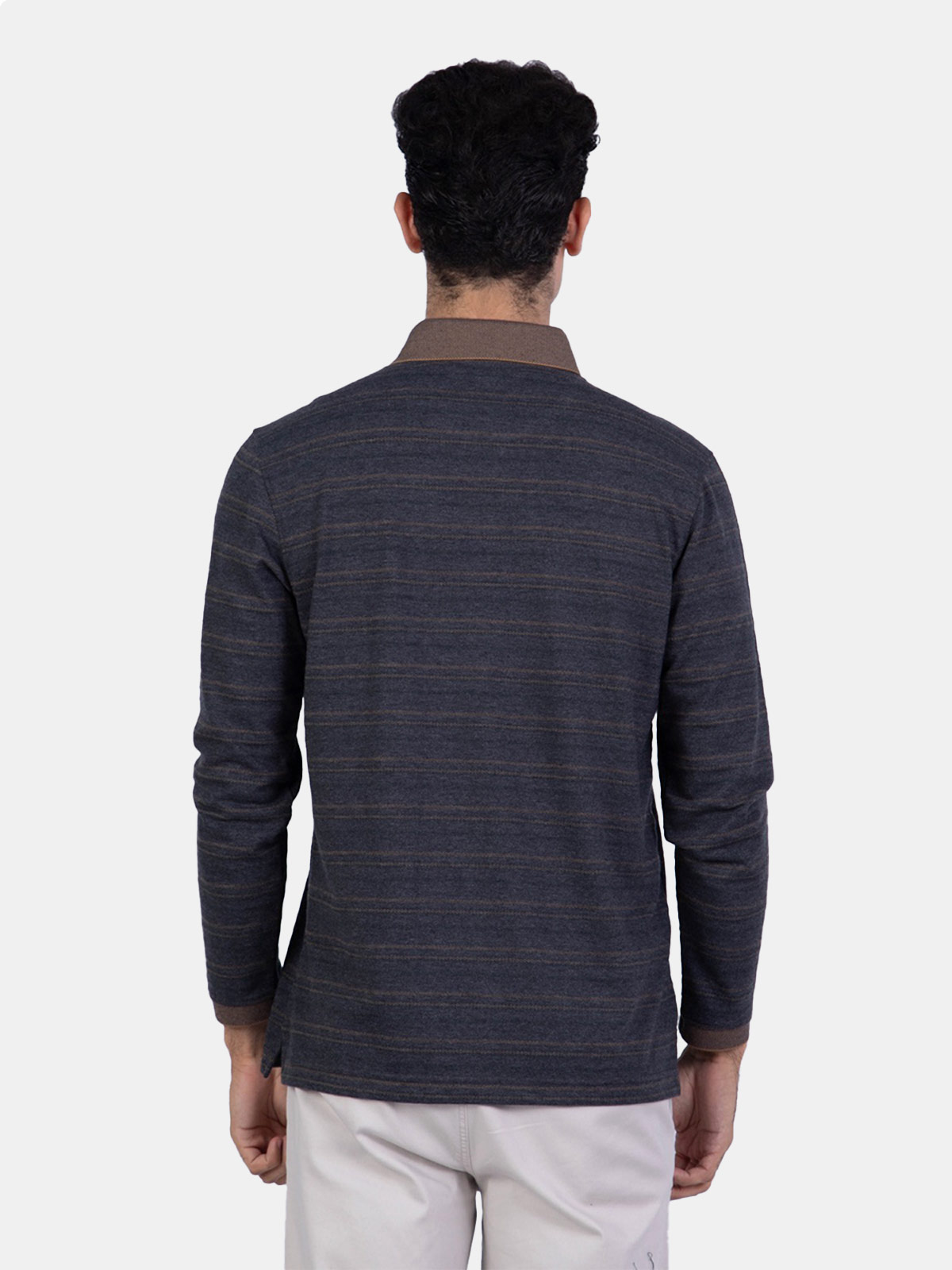 POLO MANGA LARGA HOMBRE PIERRE CARDIN - 2