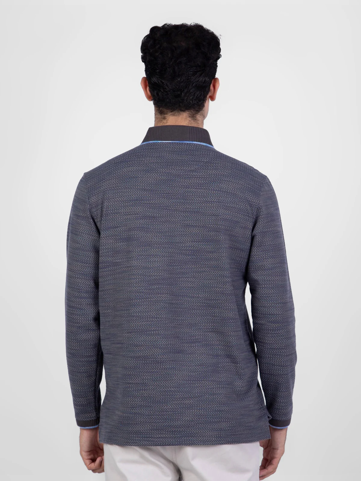 POLO MANGA LARGA HOMBRE PIERRE CARDIN PC-63104POO - 2