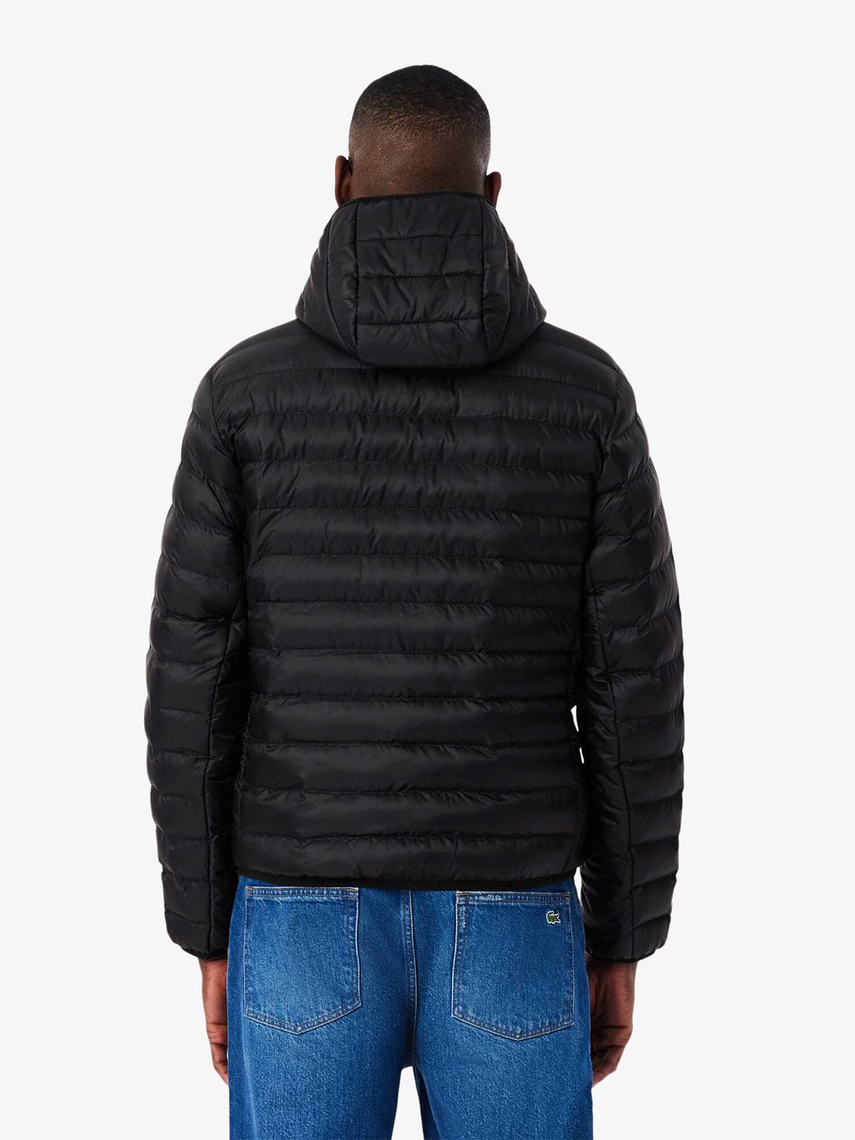 CASACA HOMBRE LACOSTE - 2
