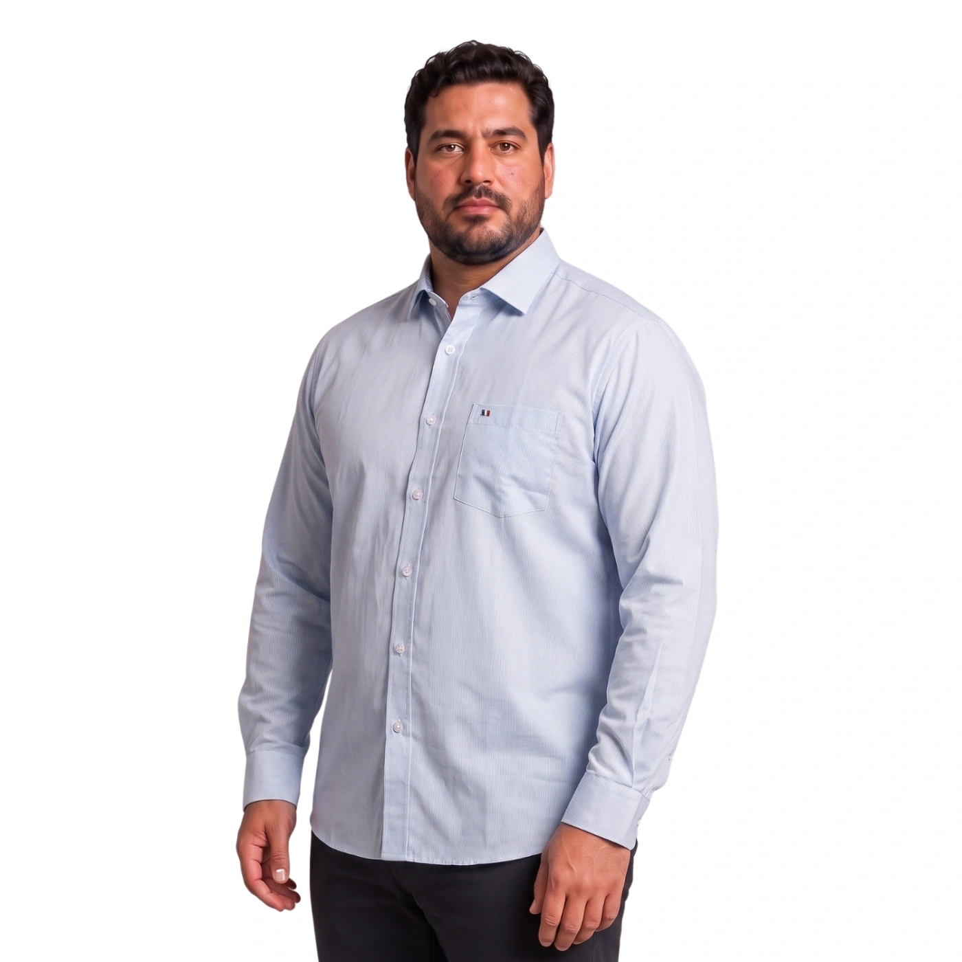 CAMISA MANGA LARGA PIERRE CARDIN CUELLO ITALIANO - 2