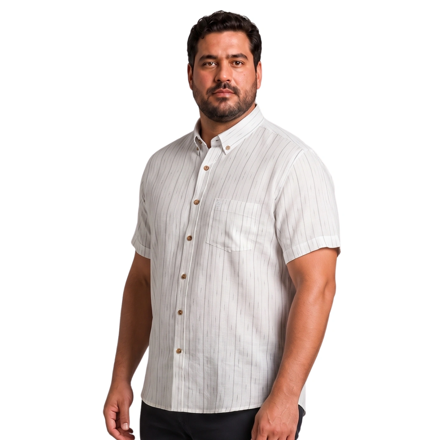 CAMISA MANGA CORTA LINO HOMBRE PIERRE CARDIN - 2