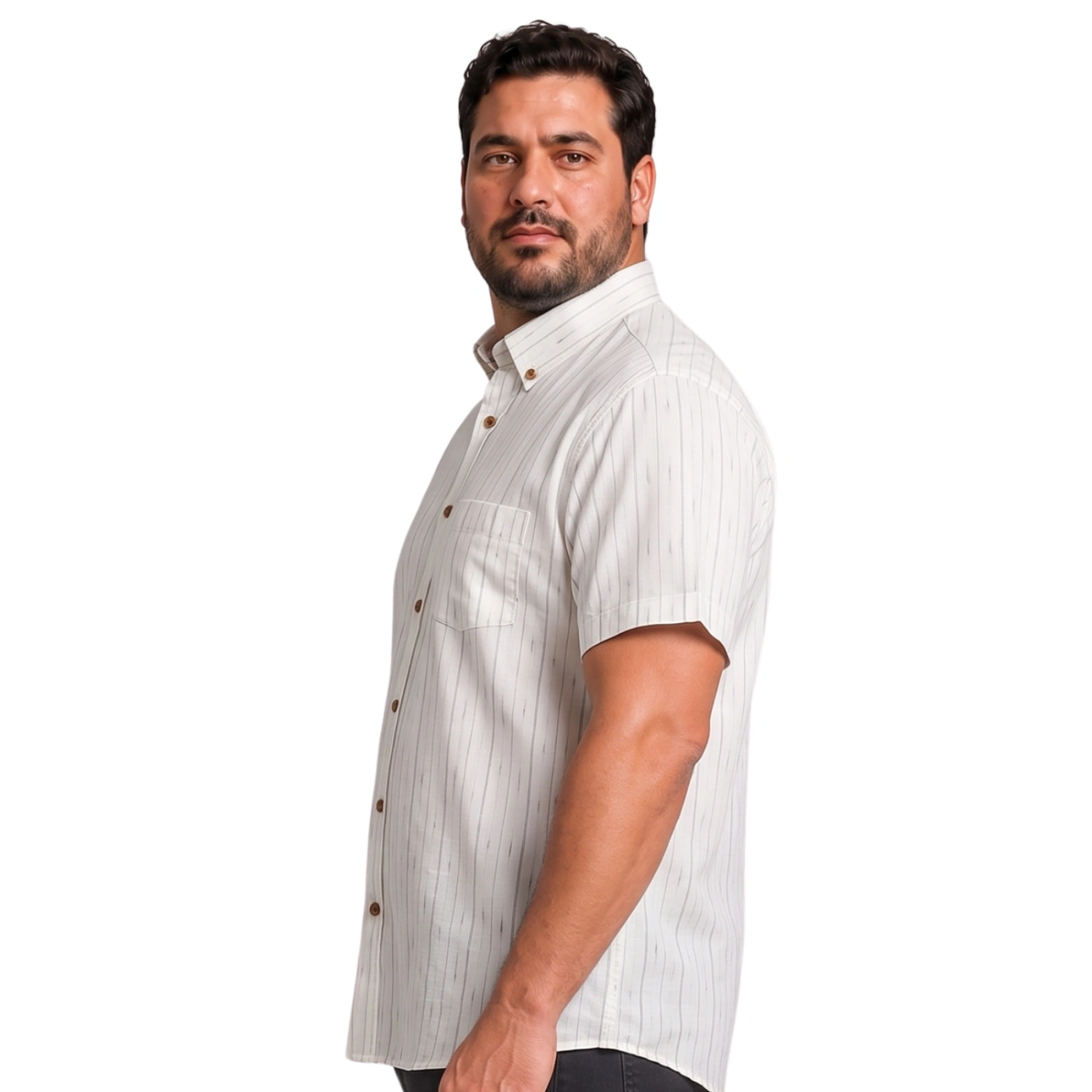 CAMISA MANGA CORTA LINO HOMBRE PIERRE CARDIN - 3
