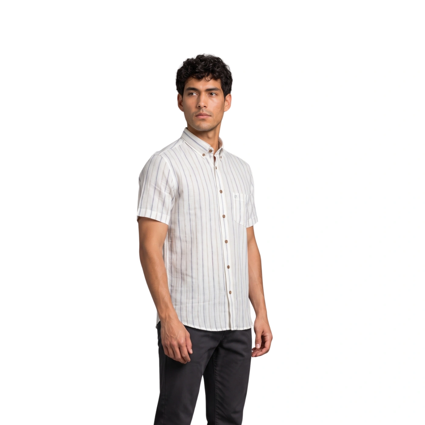 CAMISA MANGA CORTA LINO HOMBRE PIERRE CARDIN - 2