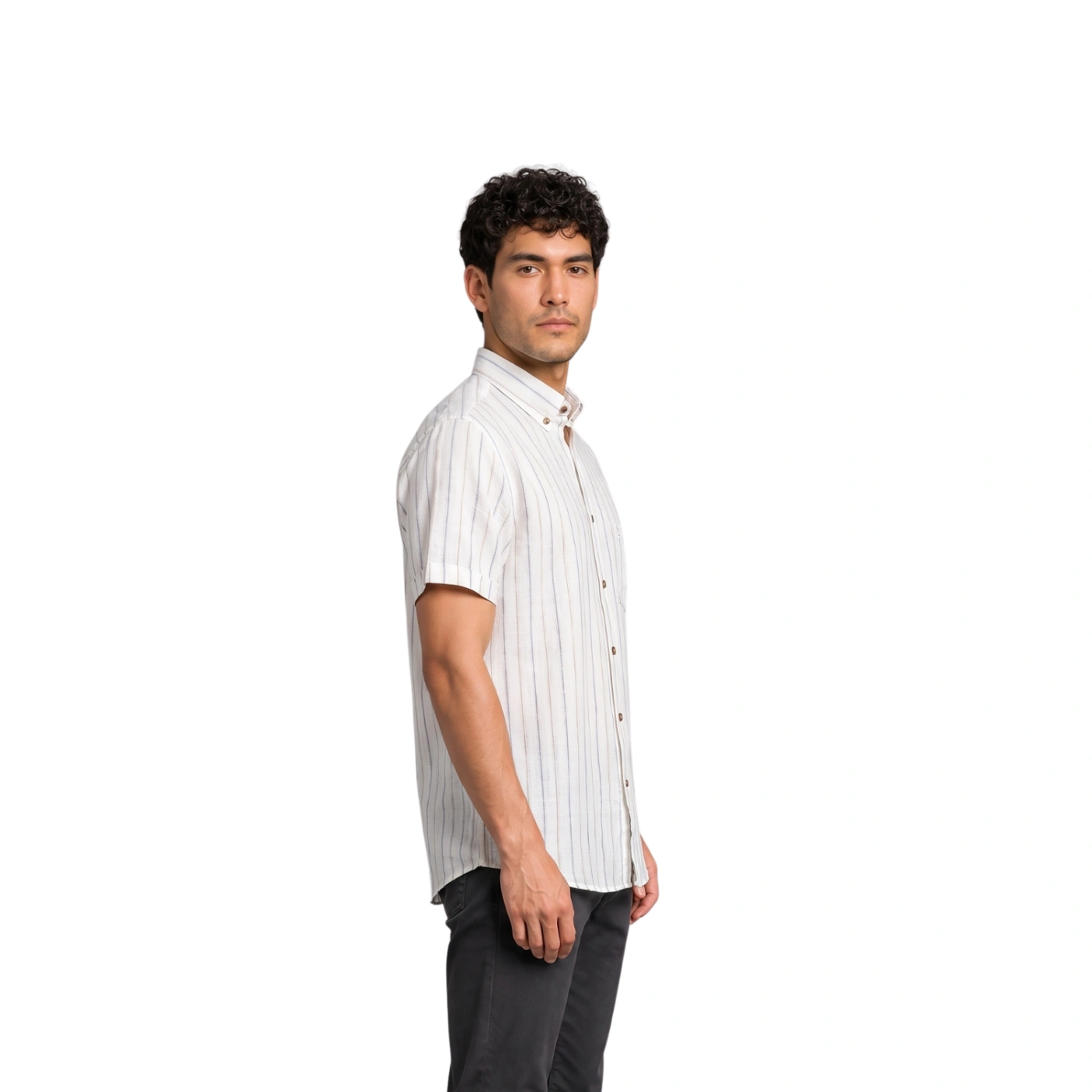 CAMISA MANGA CORTA LINO HOMBRE PIERRE CARDIN - 3