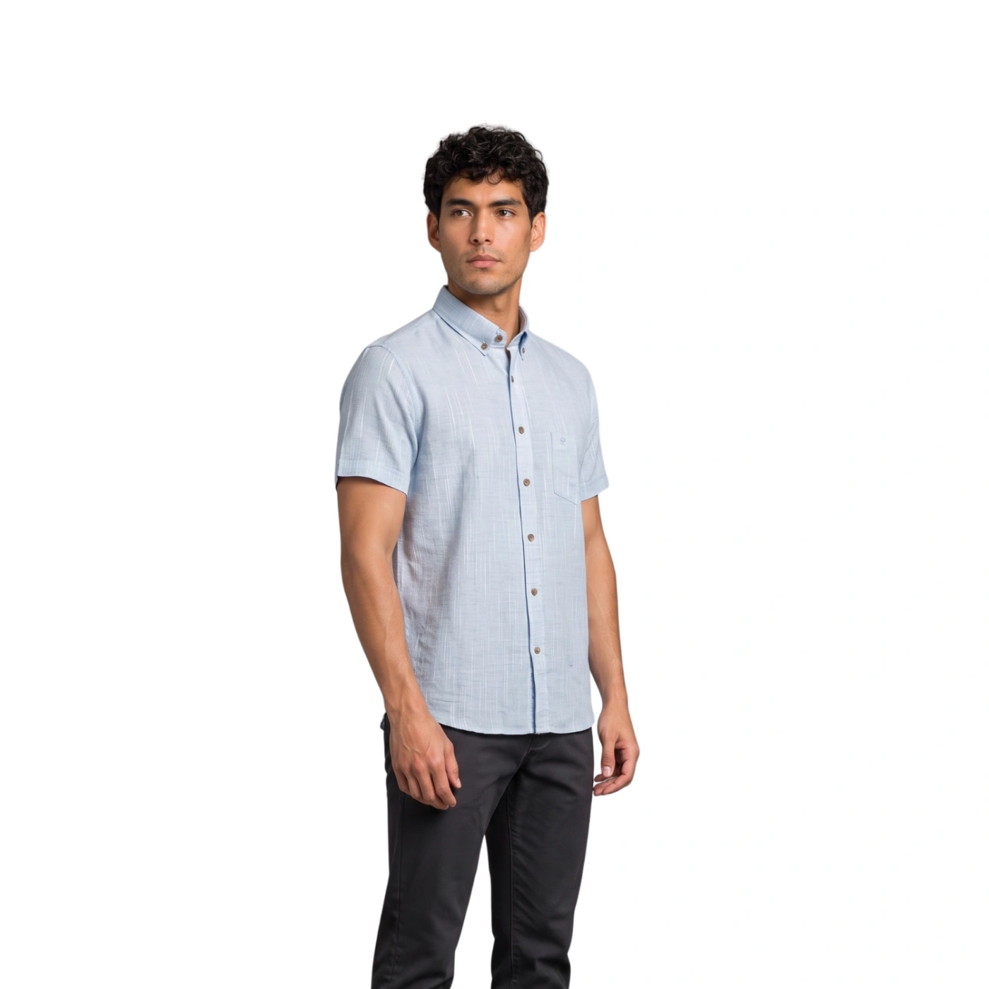 CAMISA MANGA CORTA LINO HOMBRE PIERRE CARDIN - 2