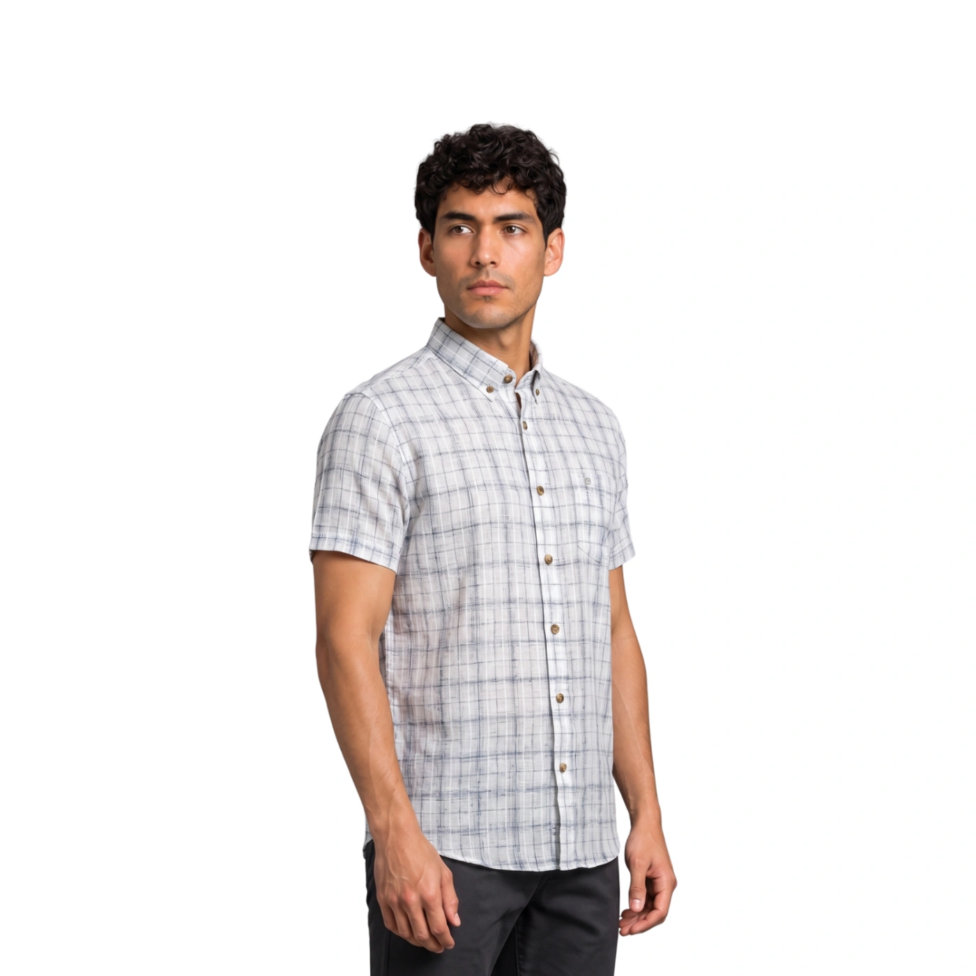 CAMISA MANGA CORTA LINO HOMBRE PIERRE CARDIN - 2