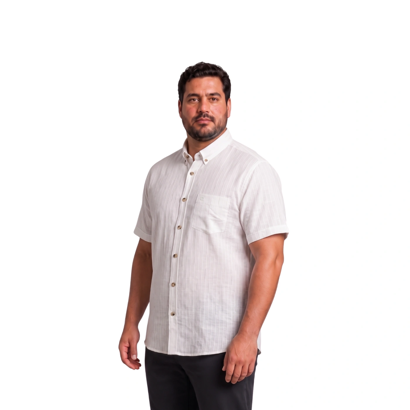 CAMISA MANGA CORTA LINO HOMBRE PIERRE CARDIN - 2