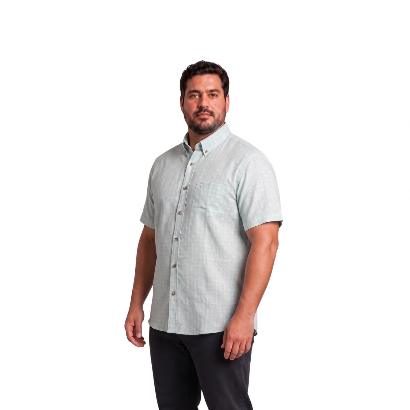 CAMISA MANGA CORTA LINO HOMBRE PIERRE CARDIN - 2