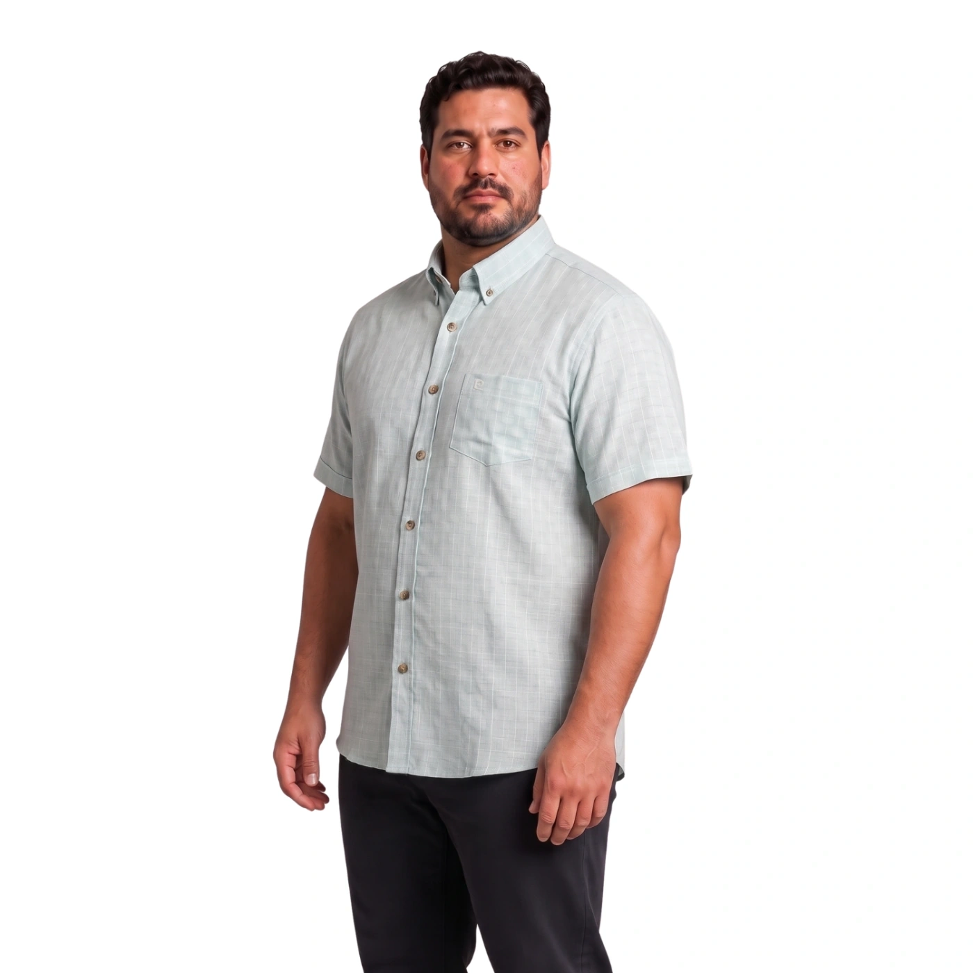 CAMISA MANGA CORTA LINO HOMBRE PIERRE CARDIN - 2