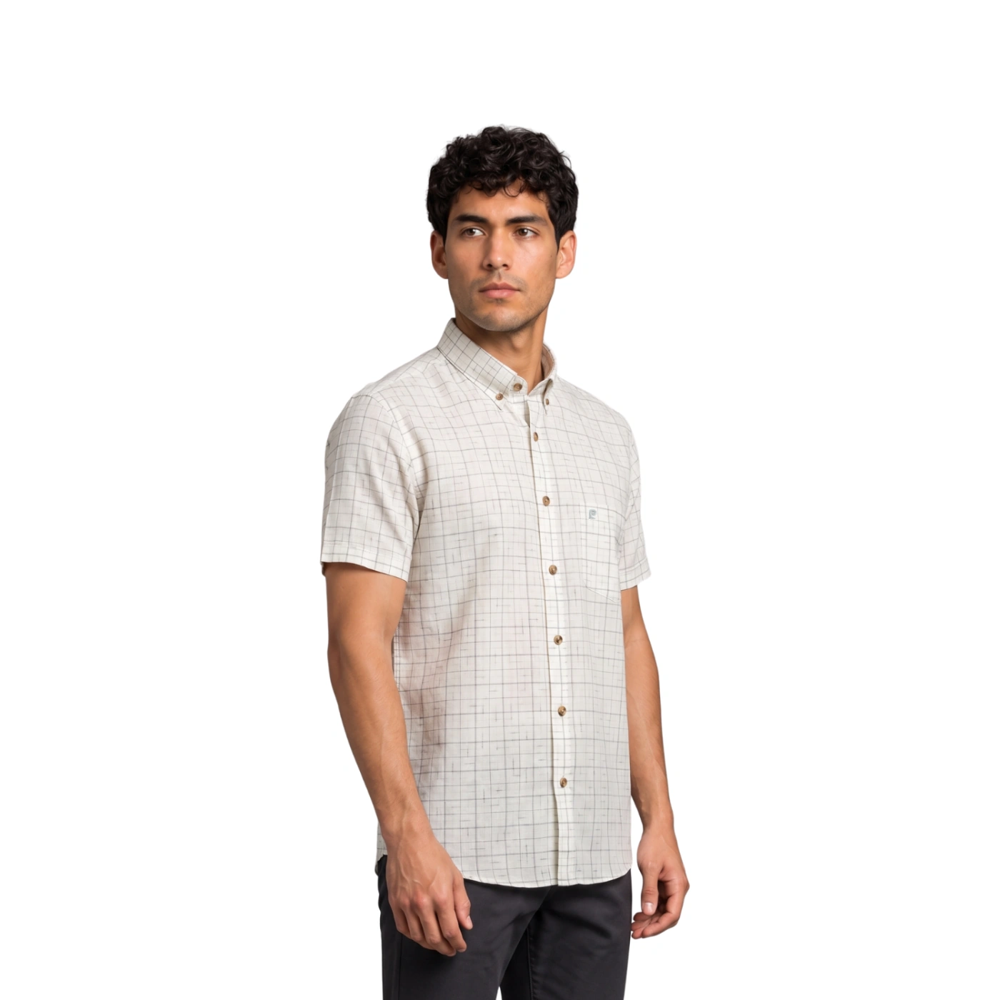 CAMISA MANGA CORTA LINO HOMBRE PIERRE CARDIN - 2