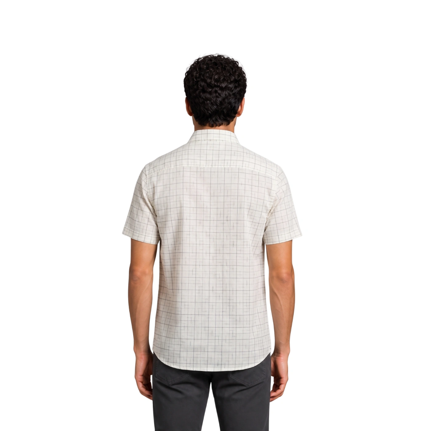 CAMISA MANGA CORTA LINO HOMBRE PIERRE CARDIN - 4