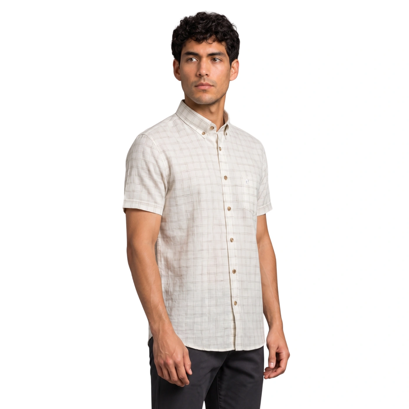 CAMISA MANGA CORTA LINO HOMBRE PIERRE CARDIN - 2