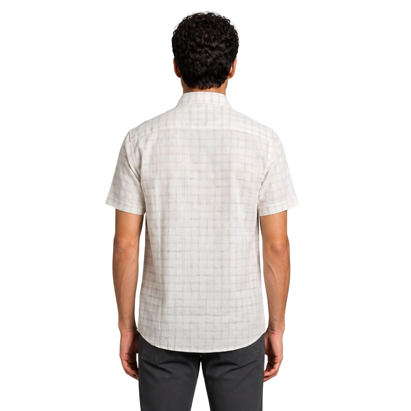 CAMISA MANGA CORTA LINO HOMBRE PIERRE CARDIN - 4