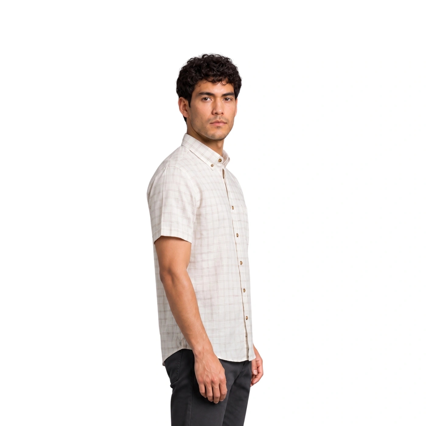CAMISA MANGA CORTA LINO HOMBRE PIERRE CARDIN - 2