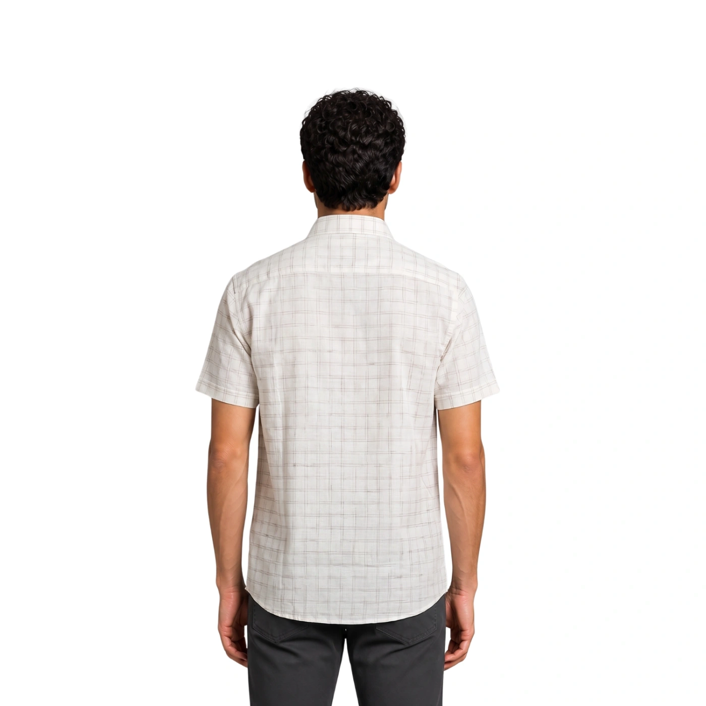 CAMISA MANGA CORTA LINO HOMBRE PIERRE CARDIN - 3