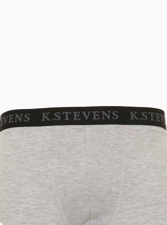 BÓXER HOMBRE KENNETH STEVENS GRIS - 4
