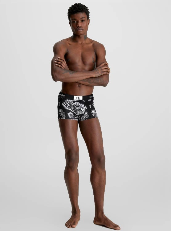 BÓXER MICROFIBRA HOMBRE CALVIN KLEIN LOW RISE TRUNK NB3406005 - 5