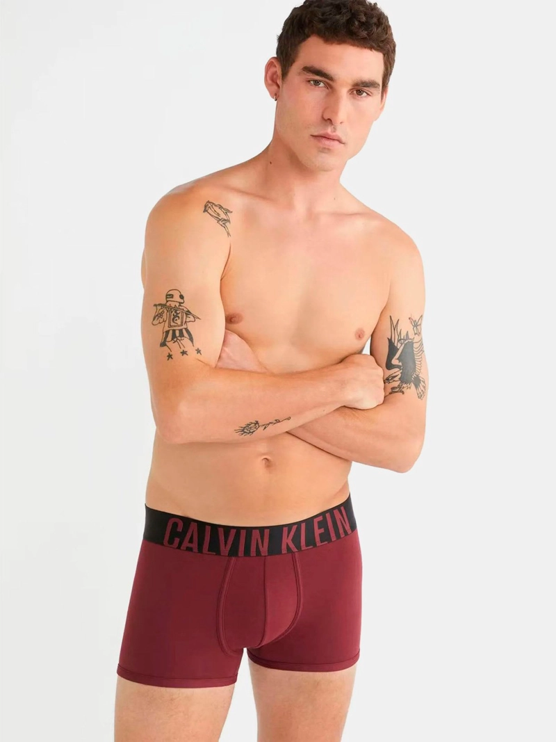 PACK 3 BÓXER ALGODÓN HOMBRE CALVIN KLEIN MULTICOLOR INTENSE POWER COTTON TRUNK NB2596933 - 4