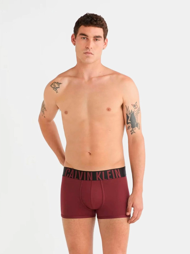 PACK 3 BÓXER ALGODÓN HOMBRE CALVIN KLEIN MULTICOLOR INTENSE POWER COTTON TRUNK NB2596933 - 2