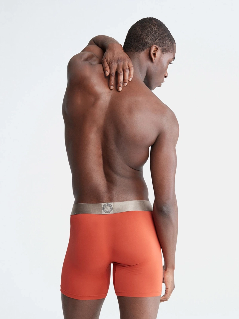 BÓXER ALGODÓN HOMBRE CALVIN KLEIN ICON MICROFIBER BRIEF NB2541212 - 2