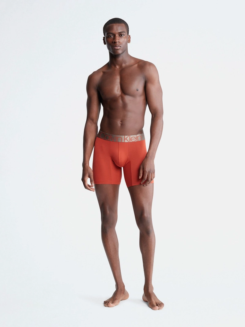 BÓXER ALGODÓN HOMBRE CALVIN KLEIN ICON MICROFIBER BRIEF NB2541212 - 4