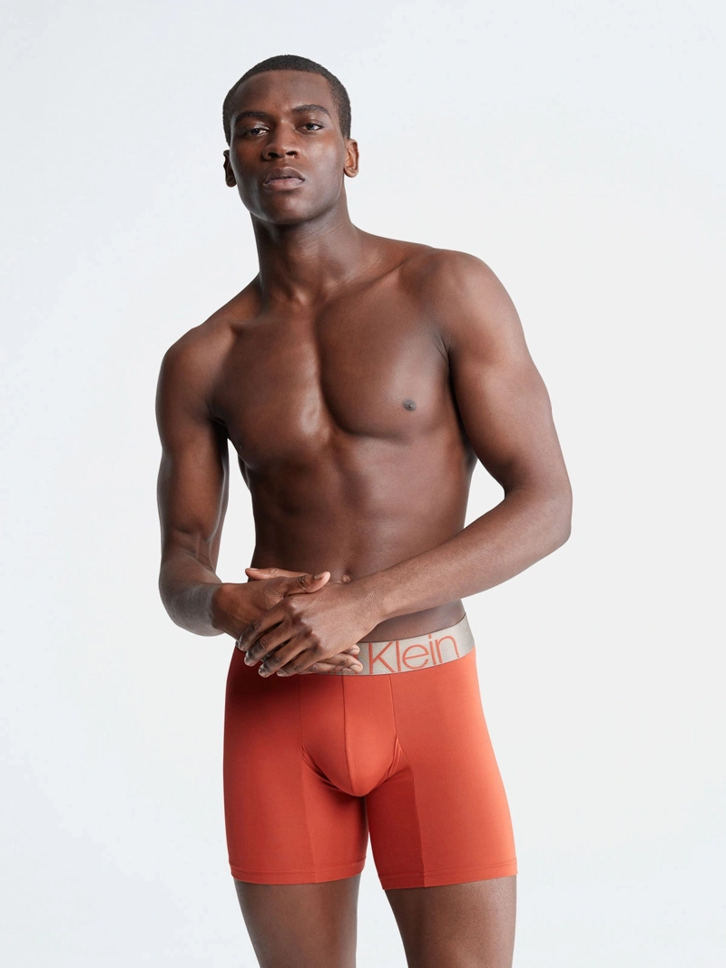 BÓXER ALGODÓN HOMBRE CALVIN KLEIN ICON MICROFIBER BRIEF NB2541212 - 1