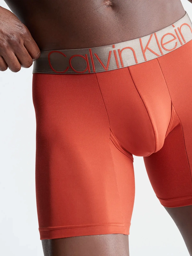 BÓXER ALGODÓN HOMBRE CALVIN KLEIN ICON MICROFIBER BRIEF NB2541212 - 3