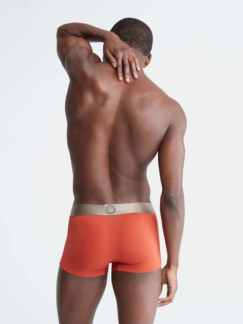 CALZONCILLO ALGODÓN HOMBRE CALVIN KLEIN ICON MICROFIBER LOW RISE TRUNK NB2540212 - 2
