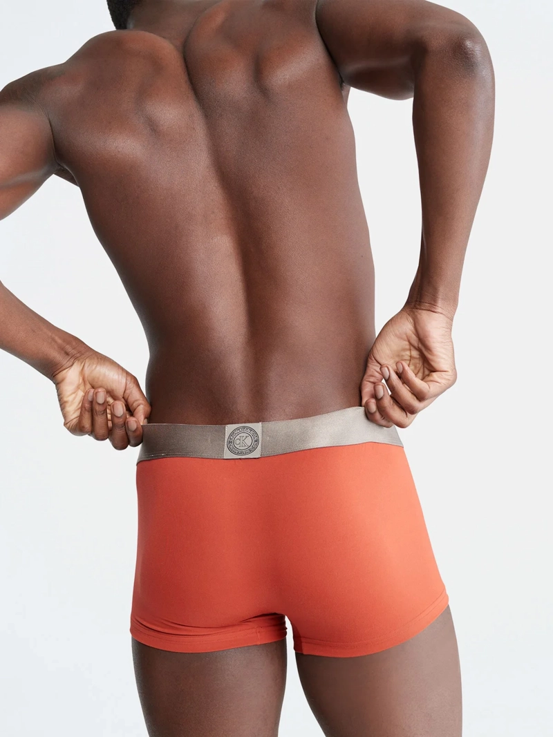 CALZONCILLO ALGODÓN HOMBRE CALVIN KLEIN ICON MICROFIBER LOW RISE TRUNK NB2540212 - 3