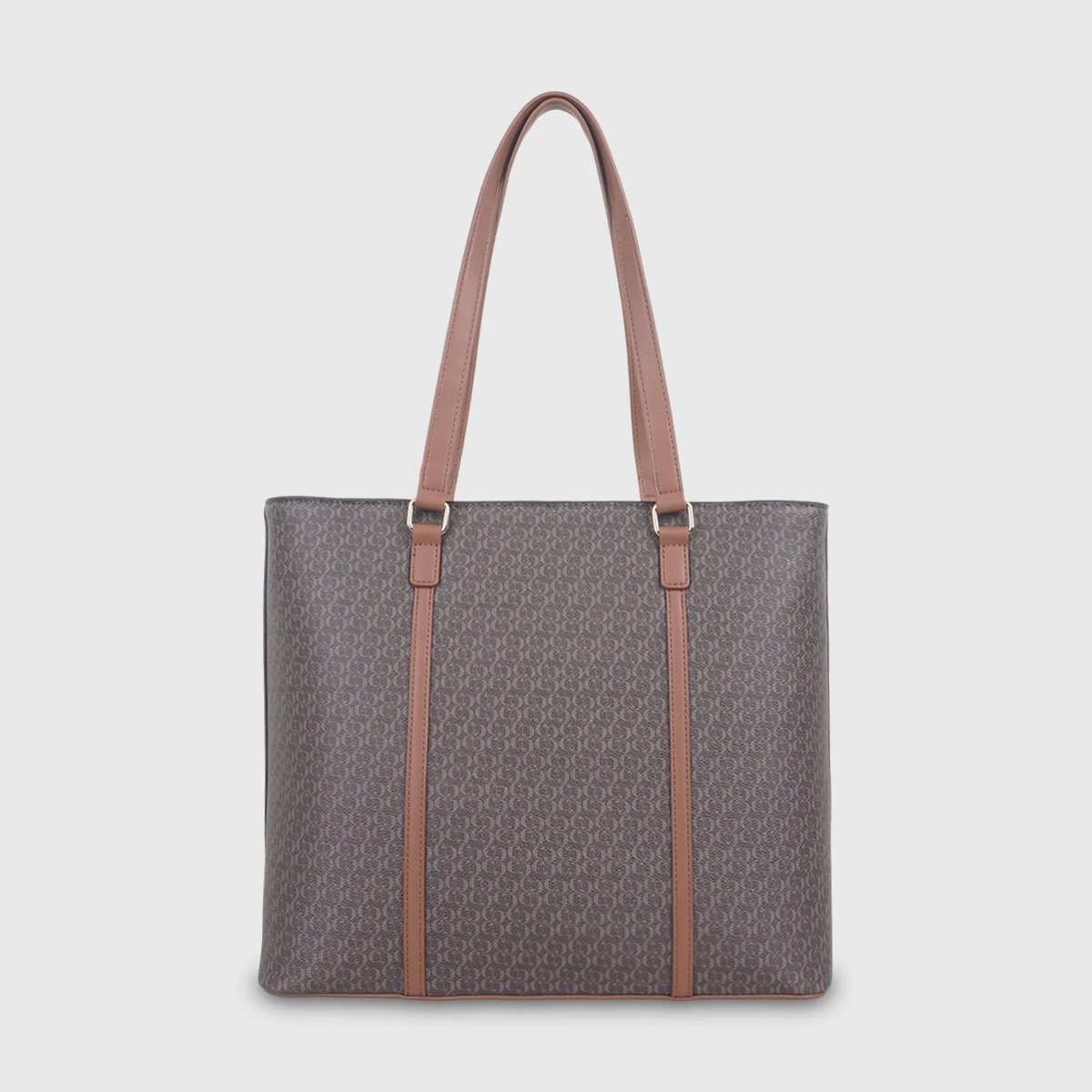 CARTERA CACHAREL CALESA - 4