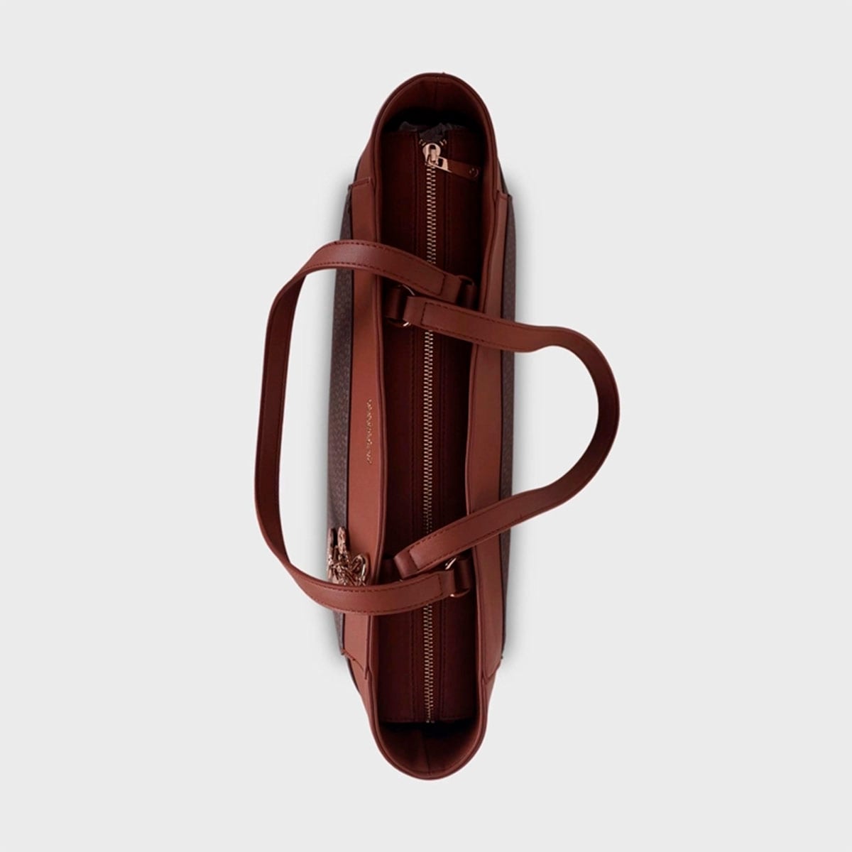 CARTERA CACHAREL CORNI2 - 3