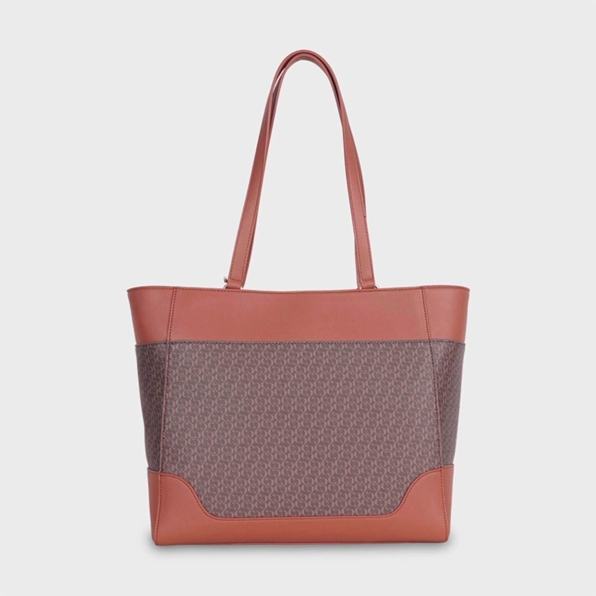 CARTERA CACHAREL CORNI2 - 4