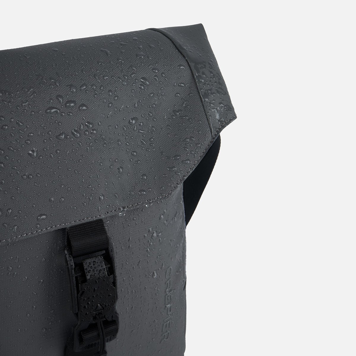 MORRAL CREPIER BOER - 5