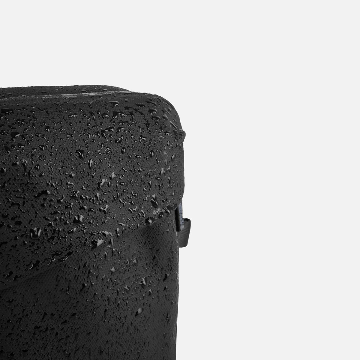 MORRAL CREPIER CARPO 2.0 - 4