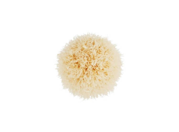 BROCHA MAC 221S MINI TAPERED BLENDING - 3