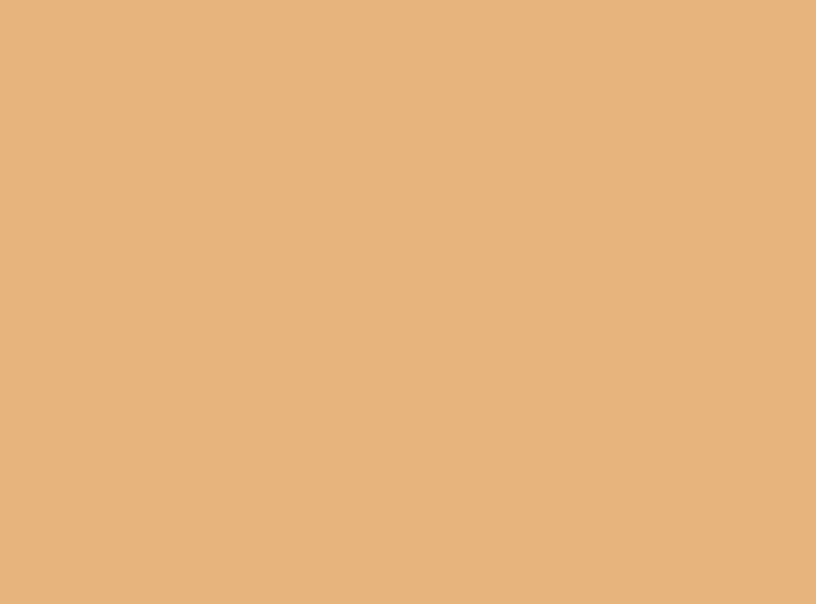 BASE COVERGIRL CLEAN MATTE LIQUID FOUNDATION CLASSIC BEIGE 530 30 ML - 2