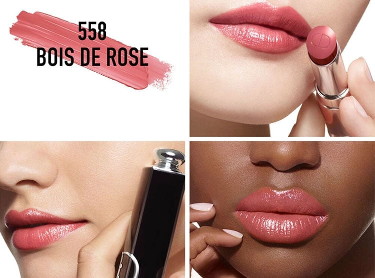 DIOR LABIAL ADDICT LIPSTICK 558 - 3