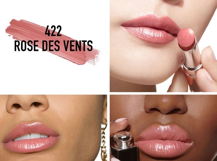 DIOR LABIAL ADDICT LIPSTICK 422 - 2